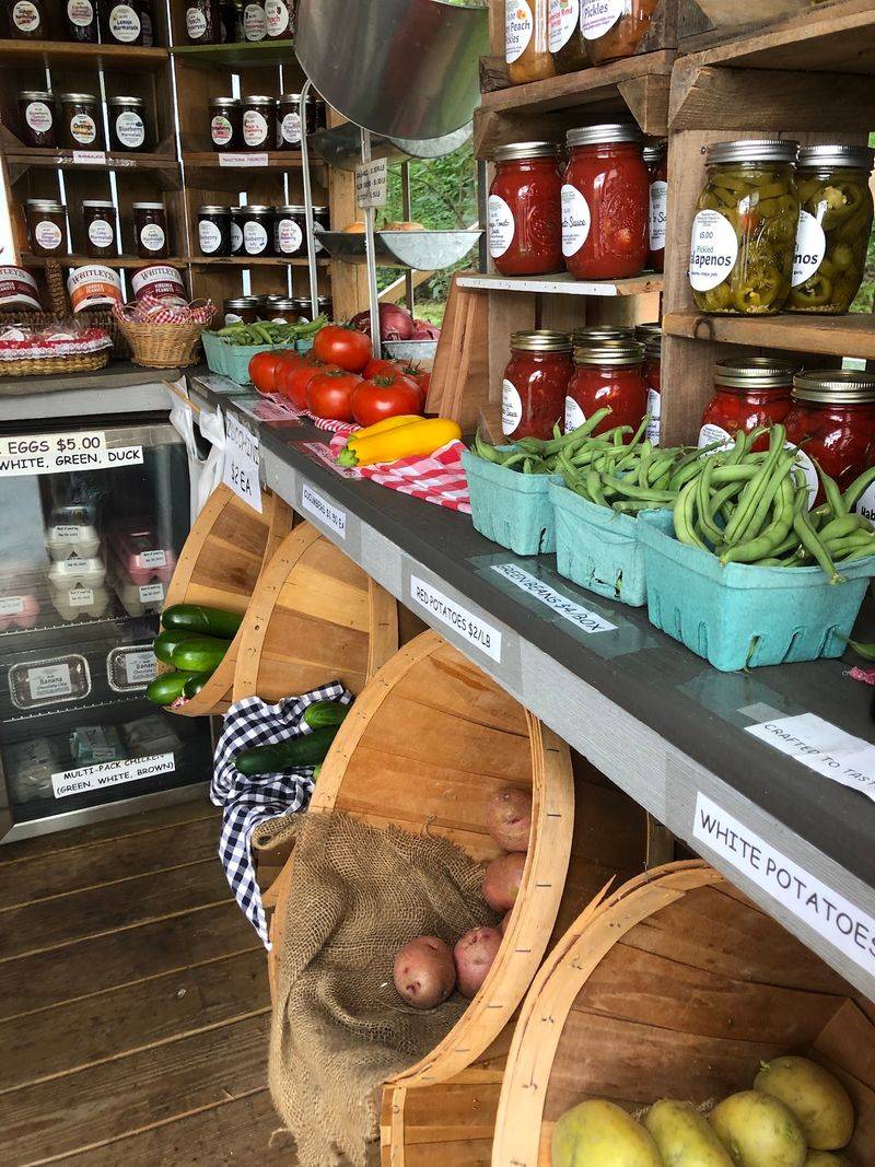 Jersey Tomatoes and Silver Queen Corn