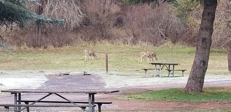 Keep Your Binoculars Handy Because The Locals Have Fur And Feathers