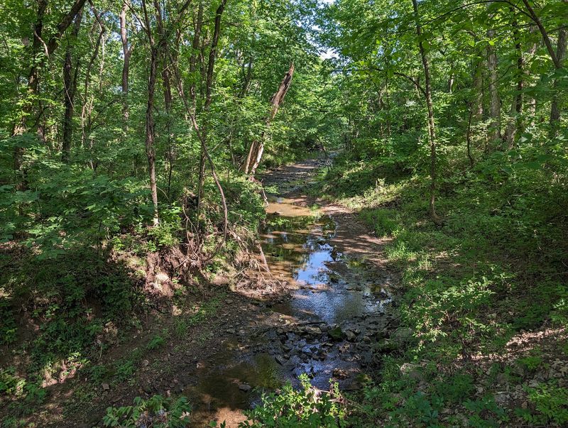 Knob Noster State Park, Knob Noster, MO