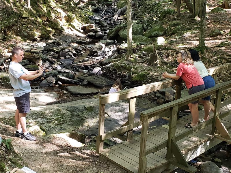 Know The Rules Before Your Dog Drags You Down The Trail Know The Rules Before Your Dog Drags You Down The Trail