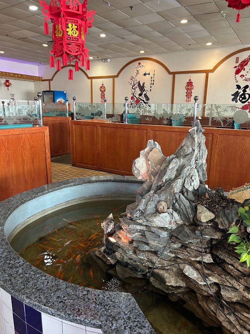 Koi Waters By The Front Door Koi Waters By The Front Door