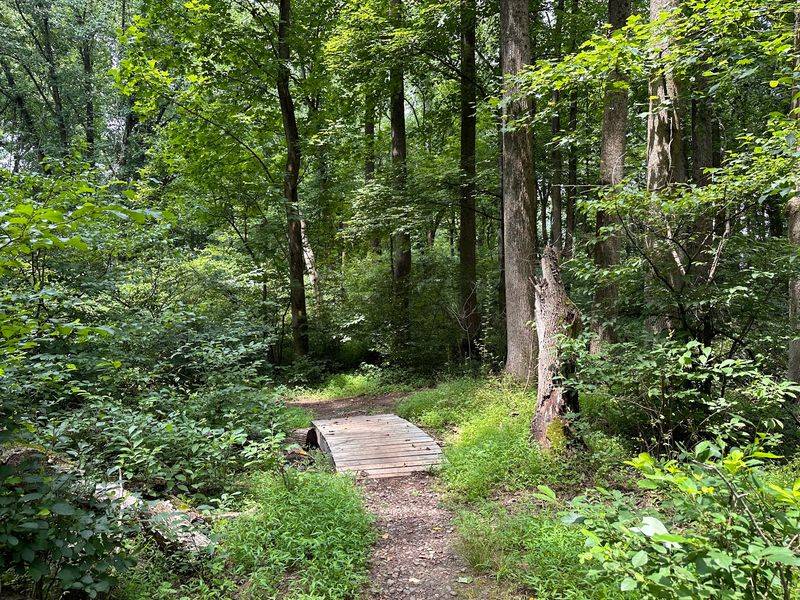 Lace Up, Because Six Miles of Trails Are Calling Lace Up, Because Six Miles of Trails Are Calling