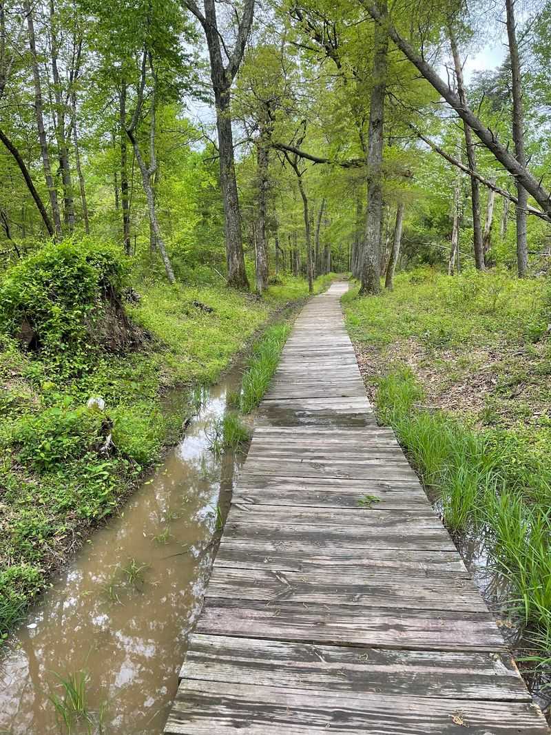Lace Up Because These Trails Go On For Miles