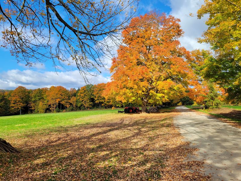 Lace Up, Because These Trails Work In Every Season