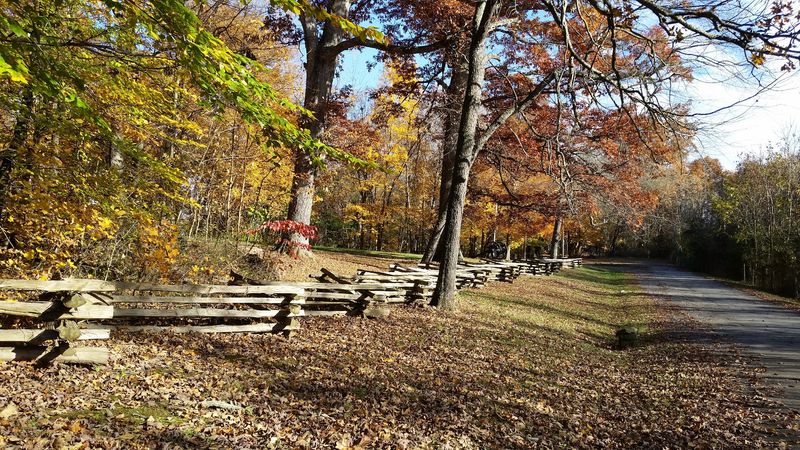 Lace Up For An Easy Stroll Under The Trees