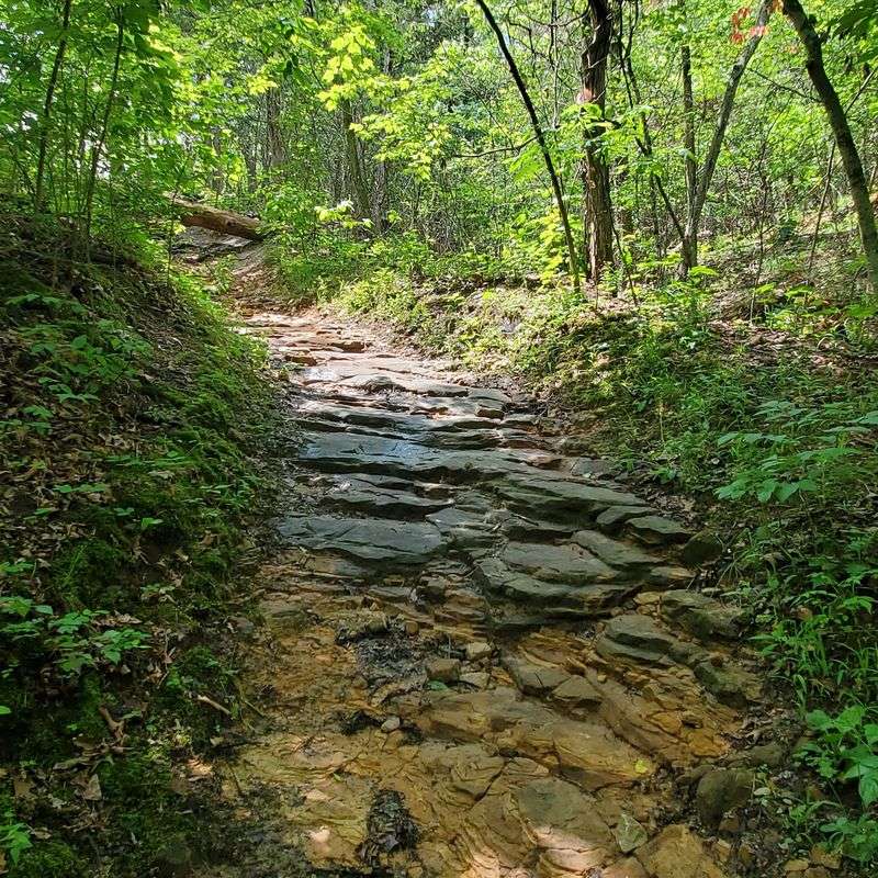 Lace Up For The Sandstone Canyon Trail Lace Up For The Sandstone Canyon Trail