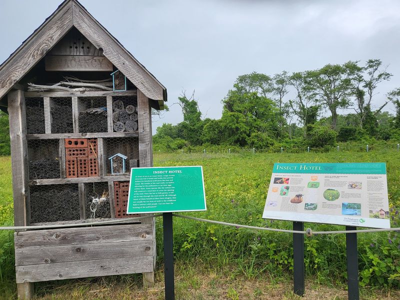 Land Saved for the Wild Land Saved for the Wild