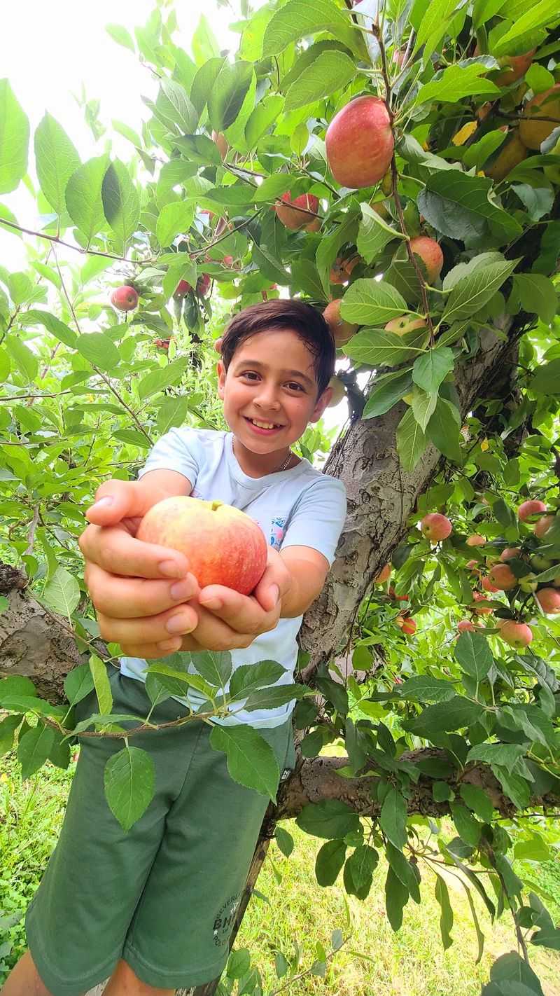 Legend Hills Orchards