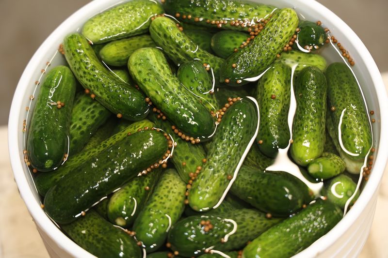 Local Cucumbers And Cold Storage Explain That Famous Crunch Local Cucumbers And Cold Storage Explain That Famous Crunch