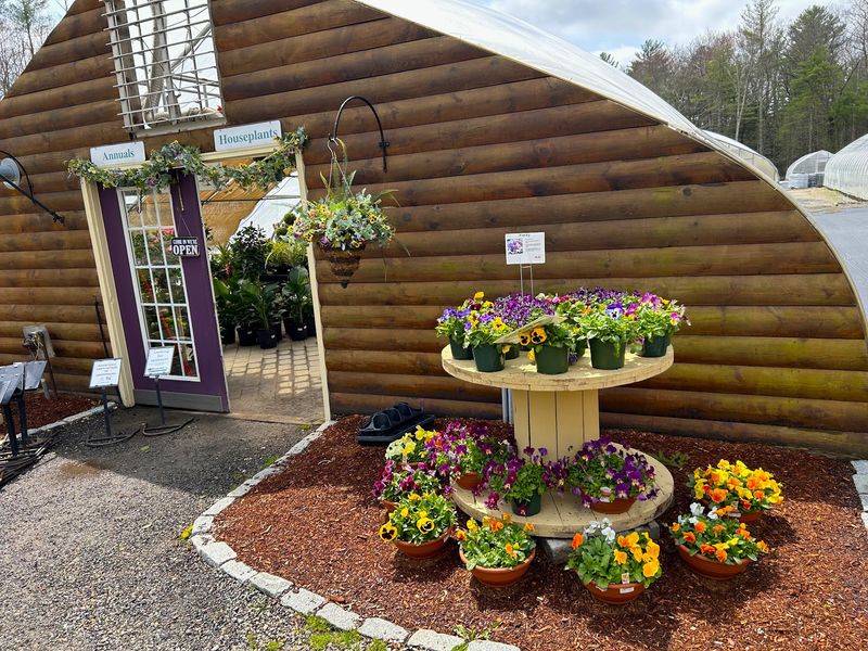 Log Cabin Greenhouses Sound Made Up, But They're Real Log Cabin Greenhouses Sound Made Up, But They're Real