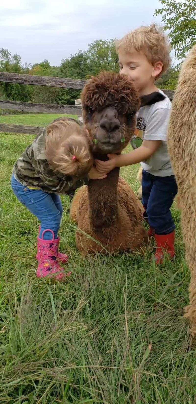Long Meadows Farm, Lovettsville, Virginia