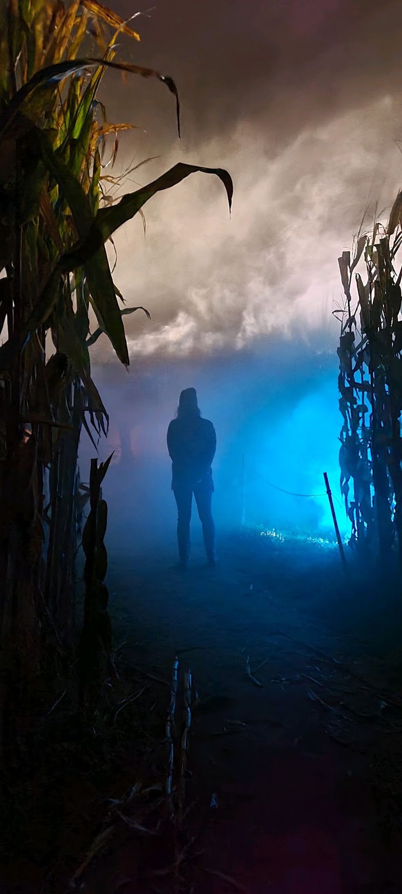 Madderbaby Lane Winds Through The Corn In The Creepiest Way