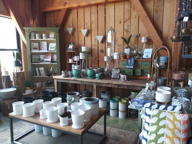 Make Your Own Porch Pot And Feel Very Crafty Make Your Own Porch Pot And Feel Very Crafty