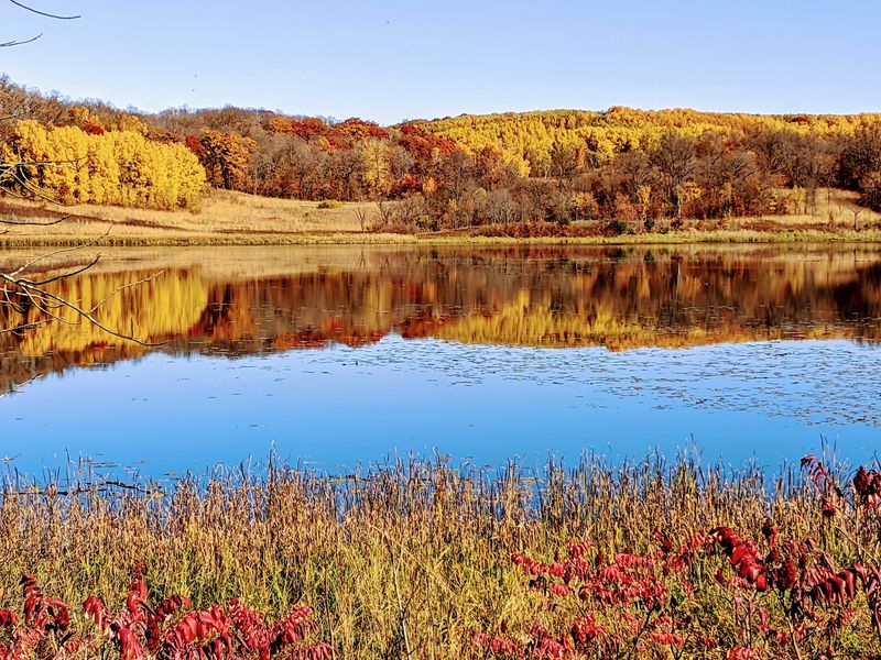 Maplewood State Park