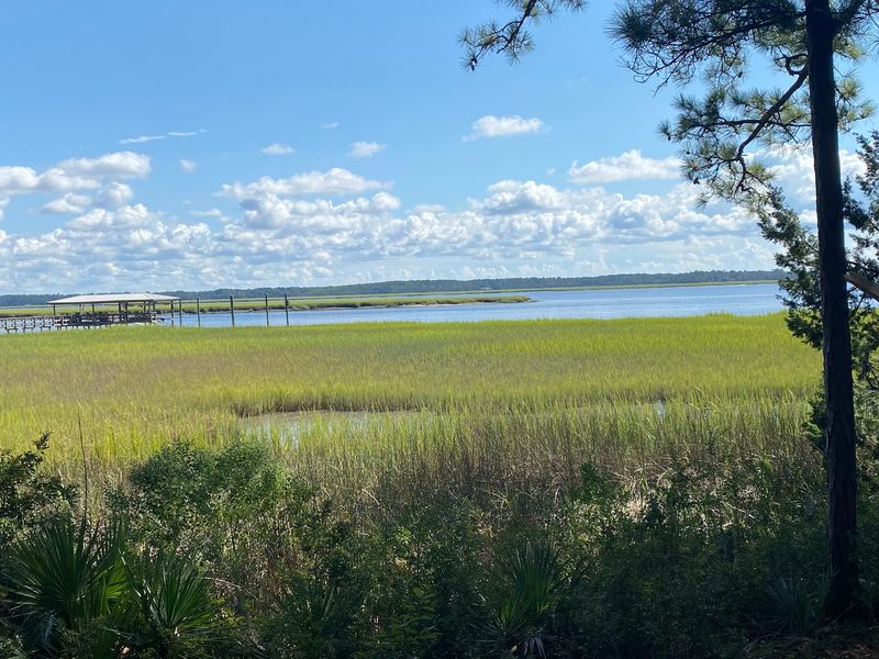 Marsh Views That Made Me Slow Down Marsh Views That Made Me Slow Down