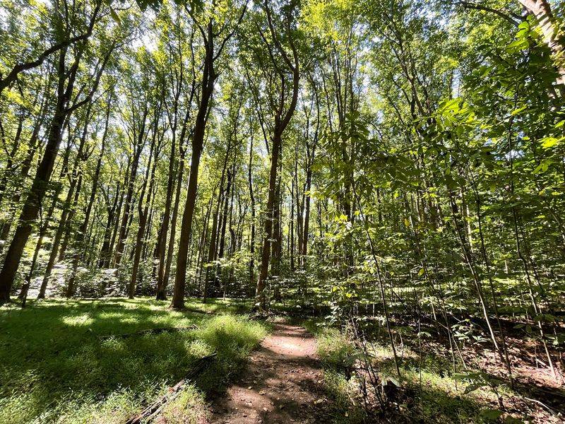 Maryland's Largest Piedmont Forest Surrounds Every Step Maryland's Largest Piedmont Forest Surrounds Every Step