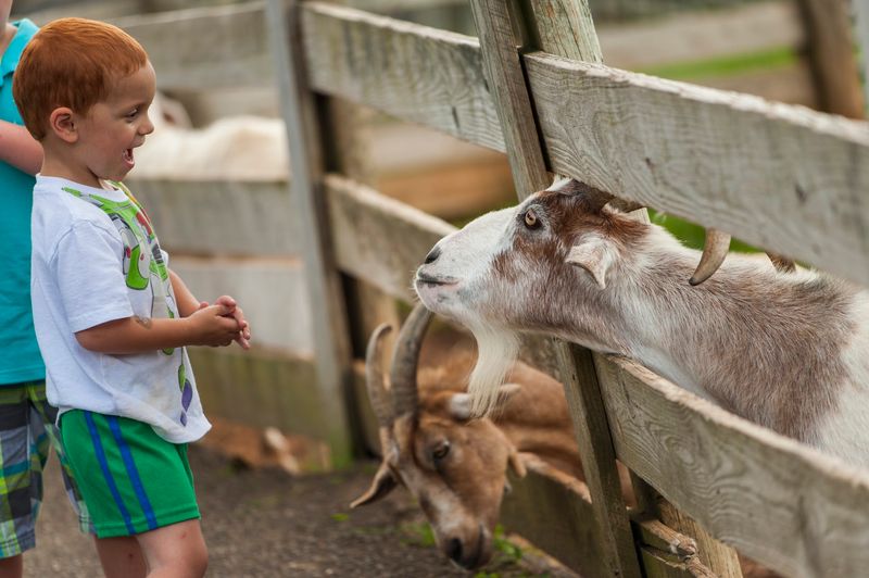 Maymont Farm, Richmond, Virginia