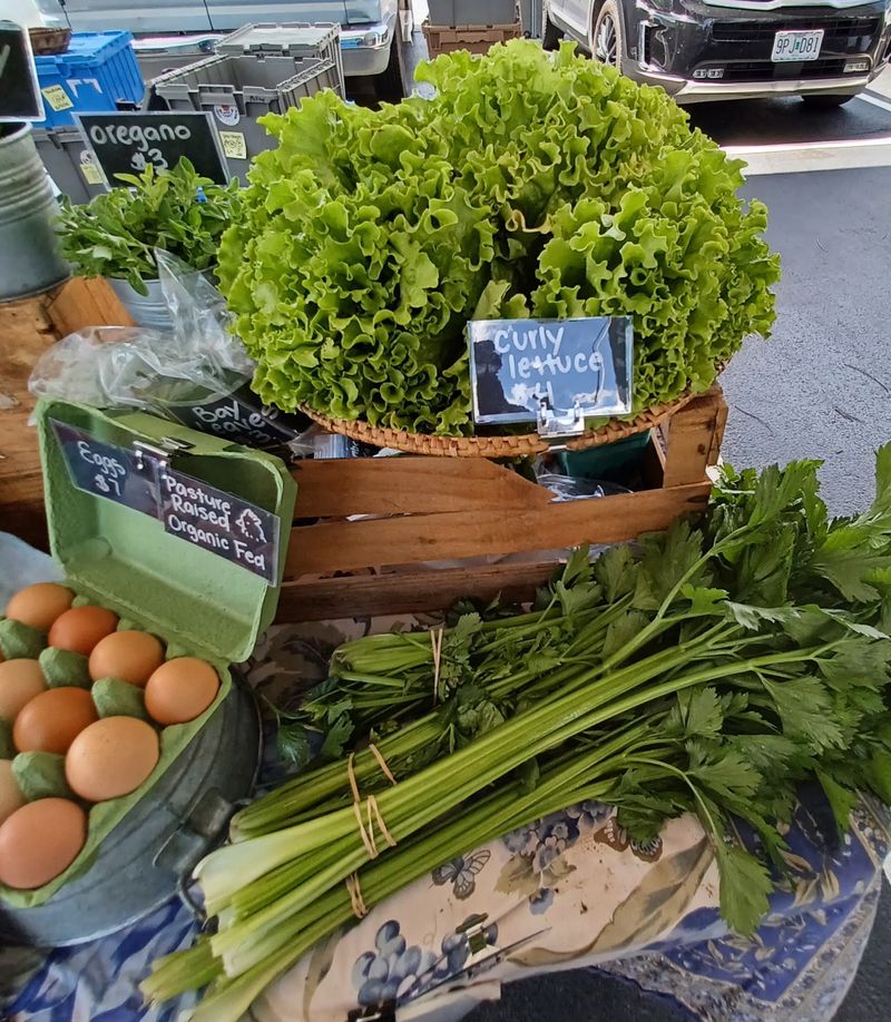 Meat, Eggs, And Cheese Straight From Nearby Farms
