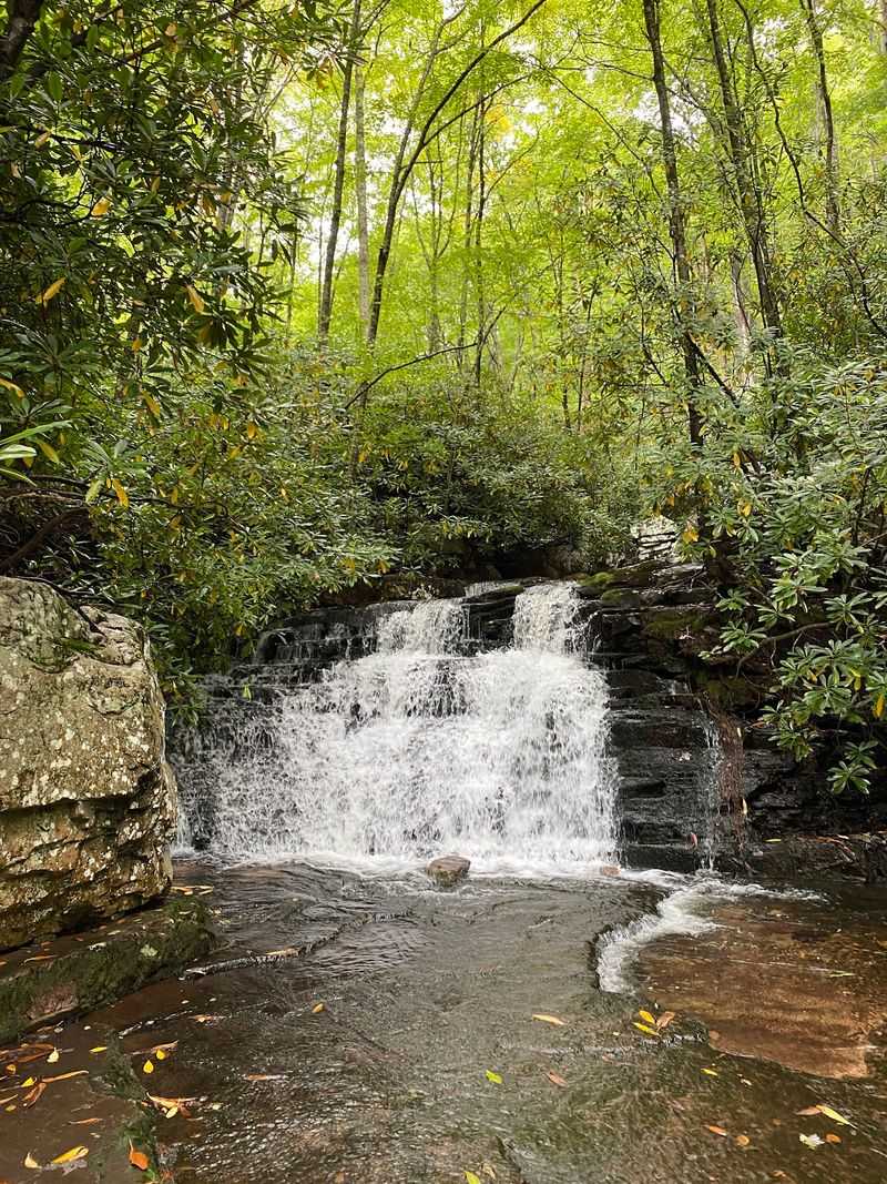 Meet Mill Creek Nature Park