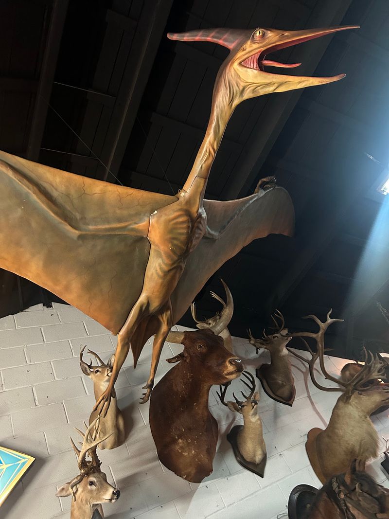Mermaids, Mummies, and a Hidden Pterodactyl