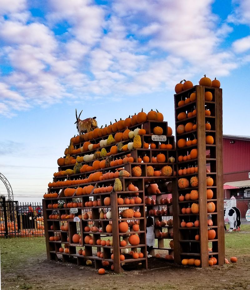 Milburn Orchards