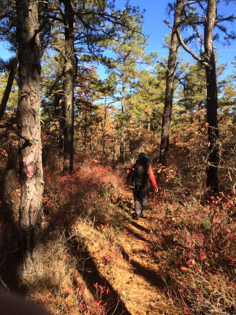 Miles of Trails and Sandy Roads