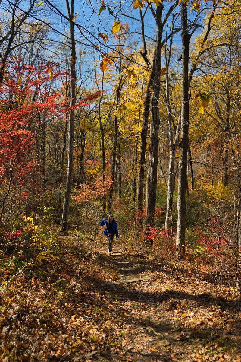 Miles of Trails for Every Kind of Walker