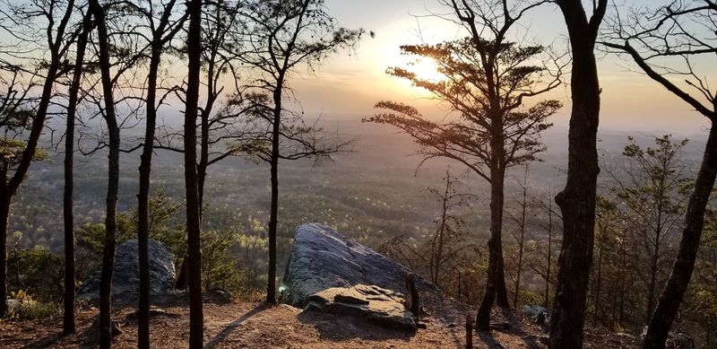 Mount Cheaha Wilderness, the Pinhoti Trail's Wild Heart Mount Cheaha Wilderness, the Pinhoti Trail's Wild Heart