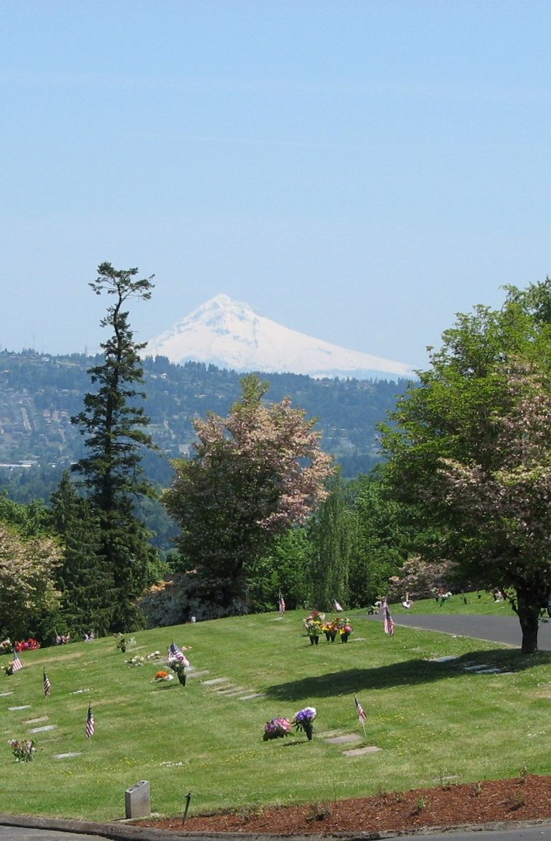 Mount Hood Peeking Over the Trees