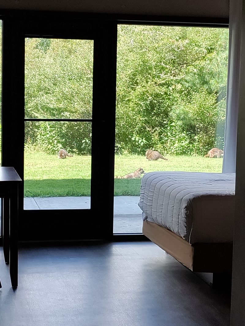 Mountain Creek Lodge, the Hideaway Reached Only by Air