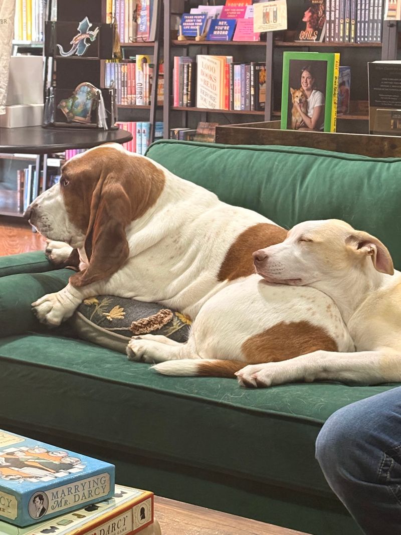 Mr. Darcy, Ms. Lizzie, and Mr. Bingley Mr. Darcy, Ms. Lizzie, and Mr. Bingley