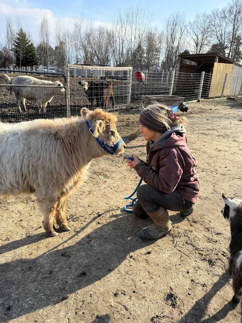 Mud, Sunshine and Smart Tips for Your Visit