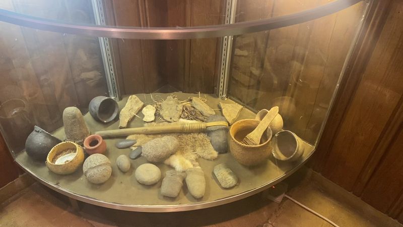 Museum Shelves, Pressed Pennies, and Picnics