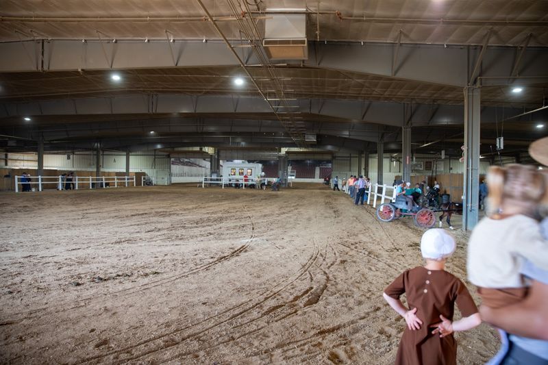Mutton Bustin' and Kid-Friendly Fun Mutton Bustin' and Kid-Friendly Fun