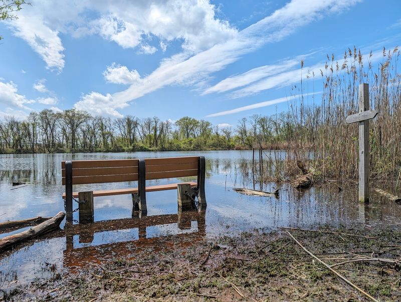 Nearly 10 Miles Of Trails Are Waiting For Your Sneakers