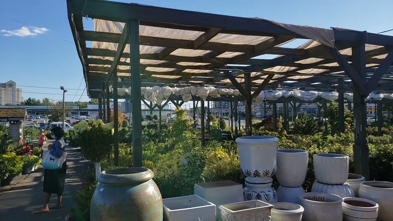 Need A Patio Or Fireplace? They Could Build That Too Need A Patio Or Fireplace? They Could Build That Too