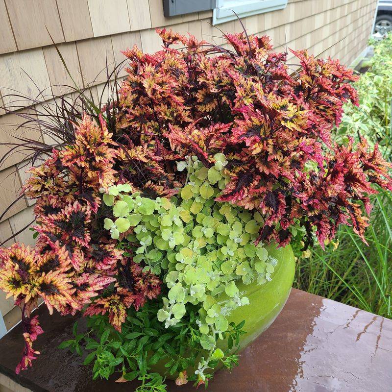 Need Help With The Yard? The Pros Here Can Take It From Pot To Patio Need Help With The Yard? The Pros Here Can Take It From Pot To Patio
