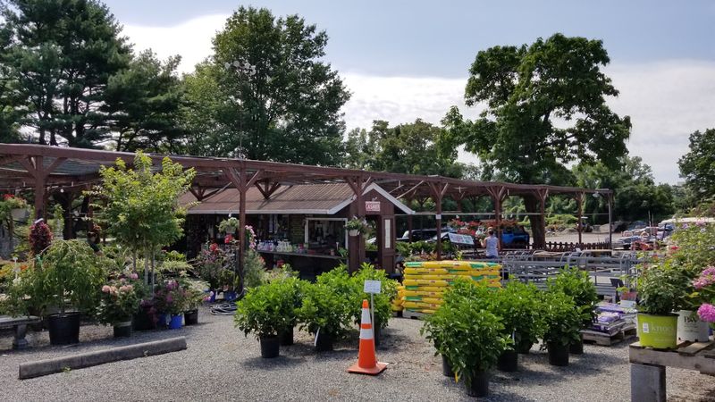 Neighbors Fought Back With A Petition And A Park Idea
