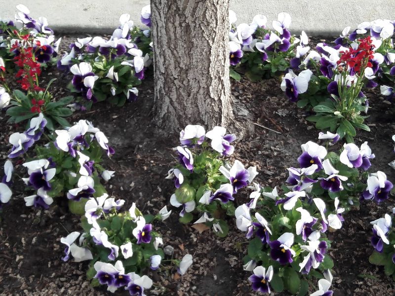 Newcomers Can Be Great Neighbors With A Little Effort