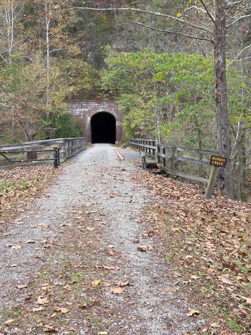 Old Train Tunnels Along the North Bend Rail Trail