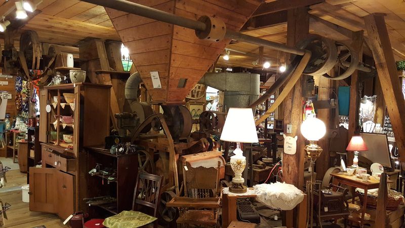 Old Treasures and New Ones Share the Same Shelves