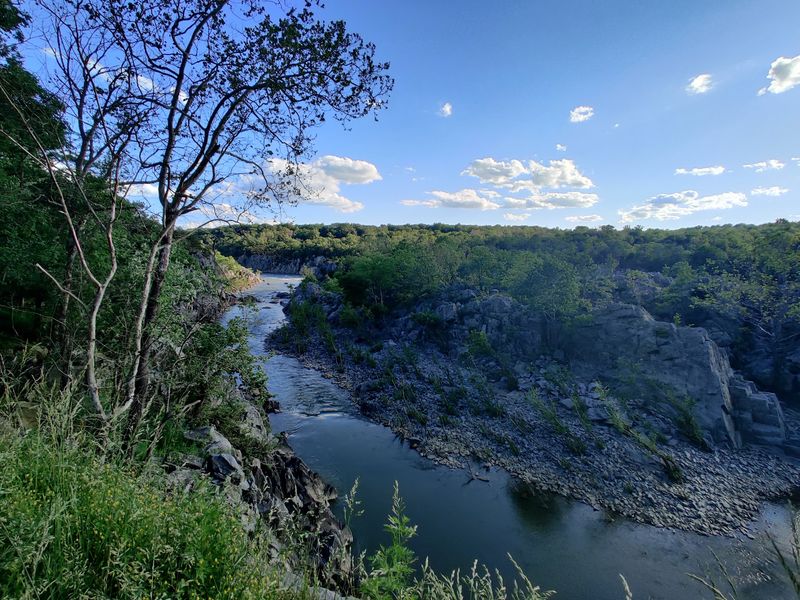 Olmsted Island Overlook