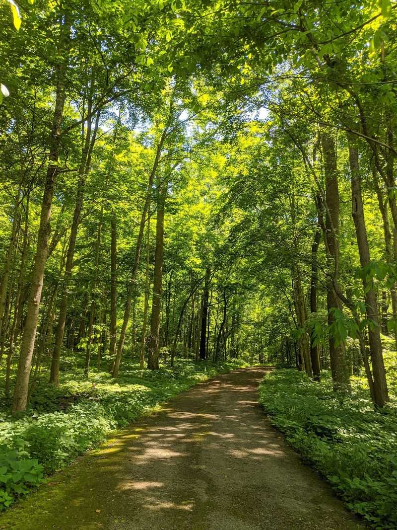 One Easygoing Trail Does All The Work