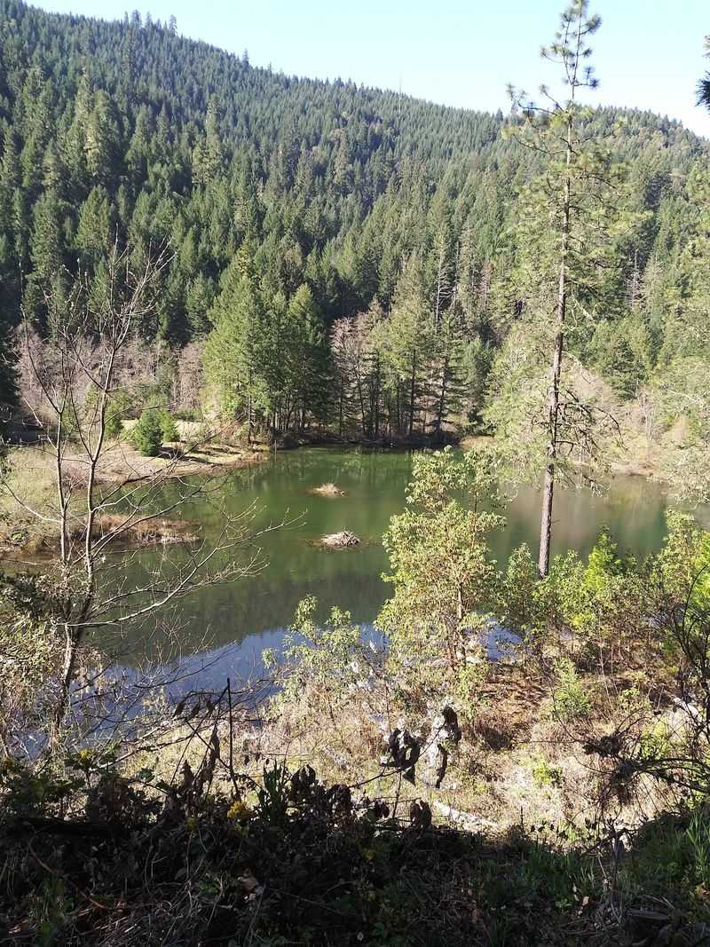 One Family Pulled A Fortune Out Of These Hills