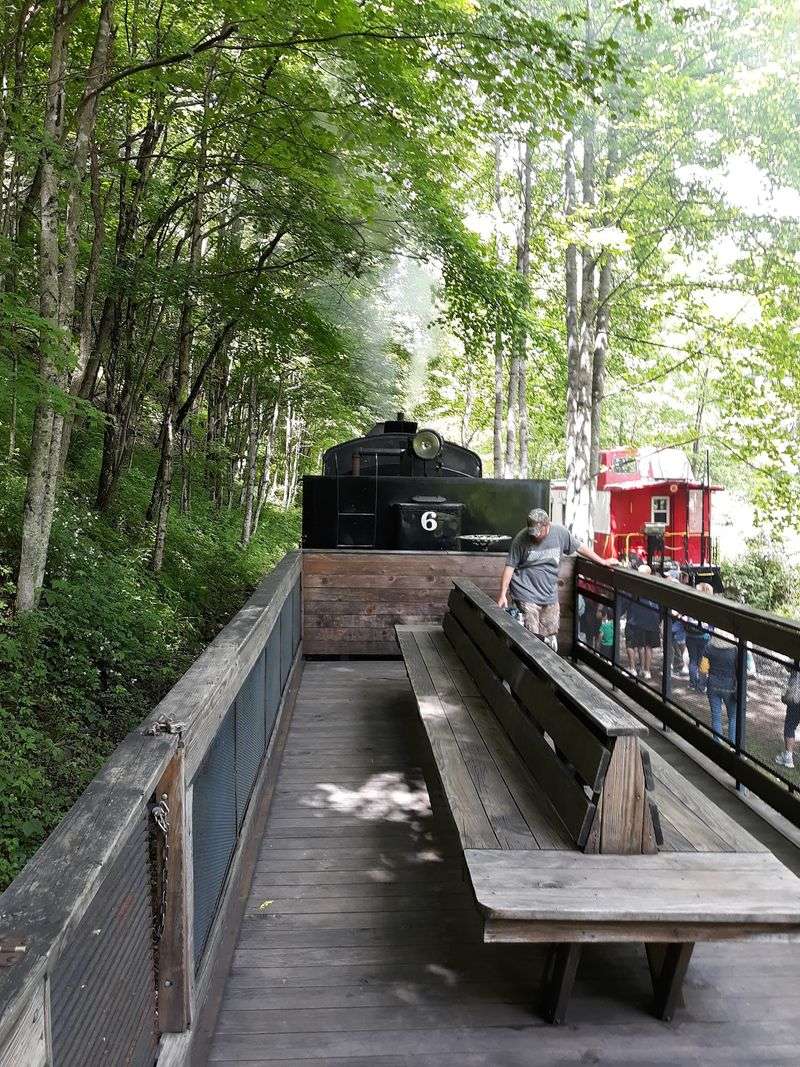 Open Cars, Cabooses, and Freedom to Wander