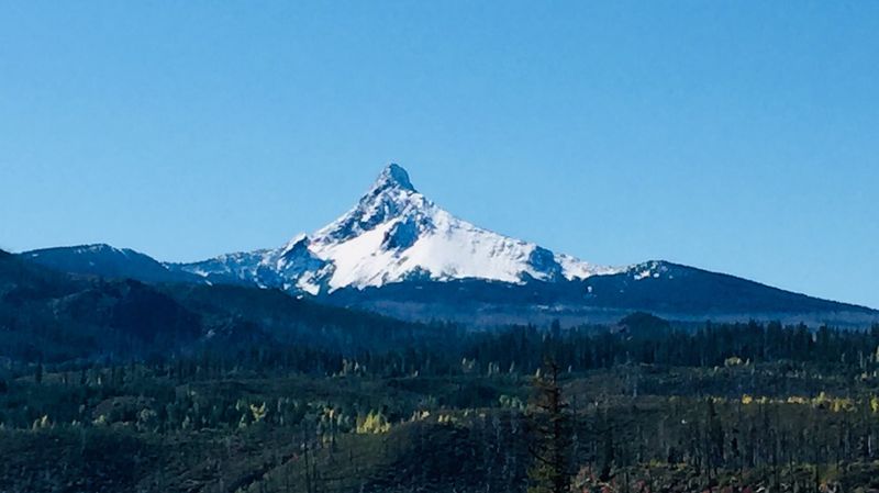 Oregon Ingredients Get The Starring Role Here
