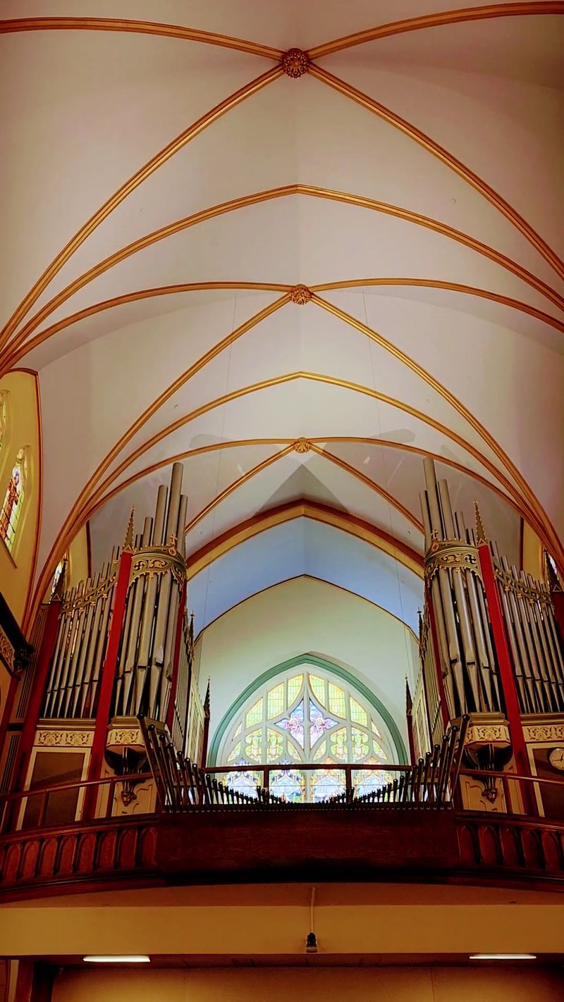 Organ Music Under Gothic Vaults Organ Music Under Gothic Vaults