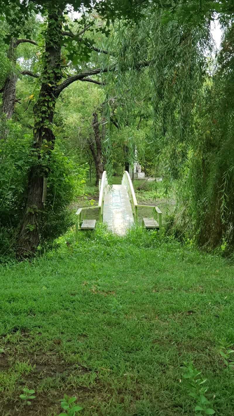 Over 400 Trees and a Forest Feel