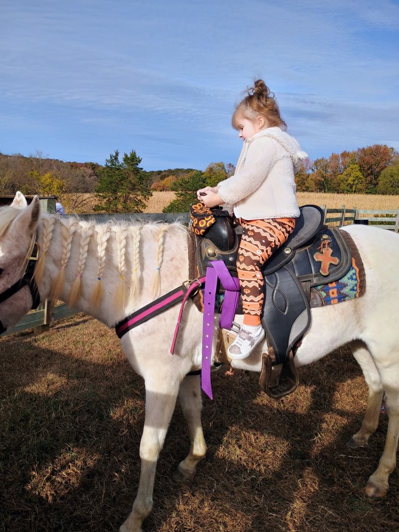 Owen Farm, Danville, Virginia