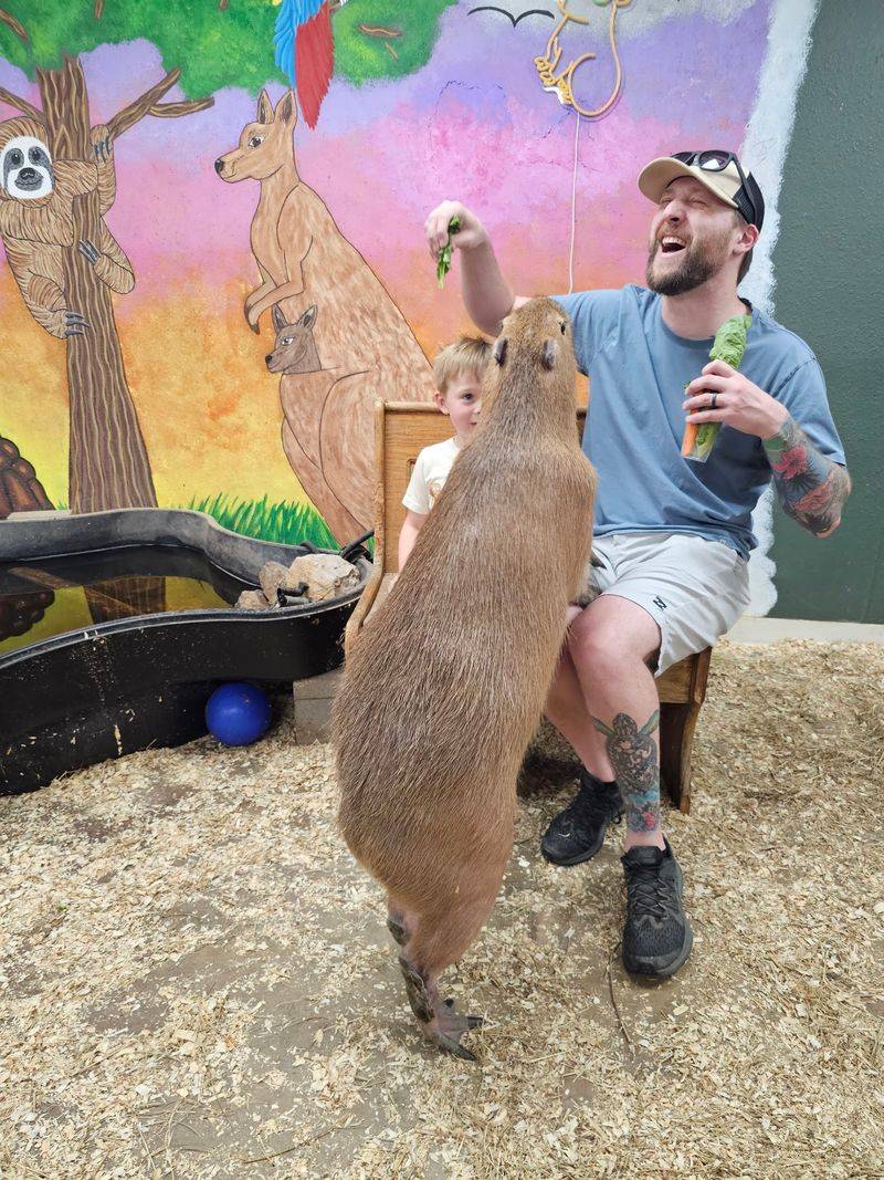 PAWsitively Wild Animal Encounters PAWsitively Wild Animal Encounters